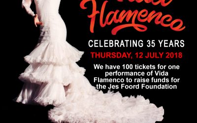 Vida Flamenco Supports JFF